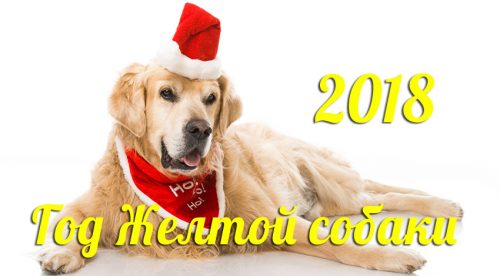 Новый Год открытка