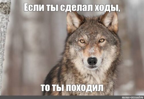 Если ты сделал ходы, то ты походил