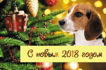 новый год