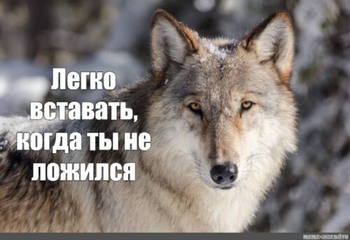 Легко вставать, когда ты не ложился