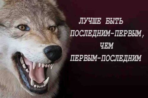 Лучше быть последним-перчем, чем первым-последним