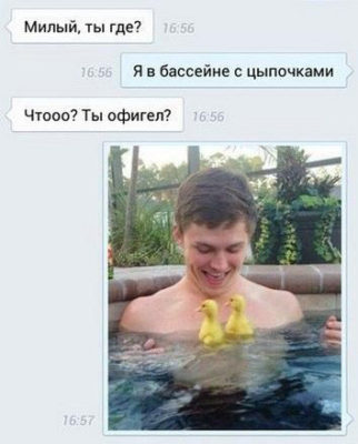 открытка