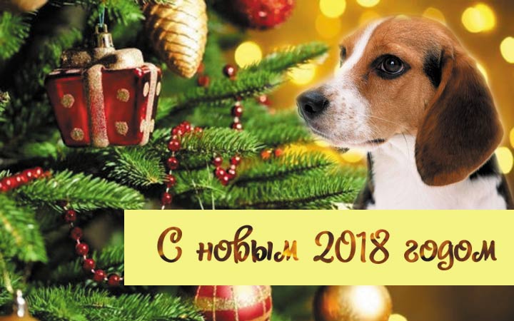 Картинки по запросу с новым годом 2018 собаки