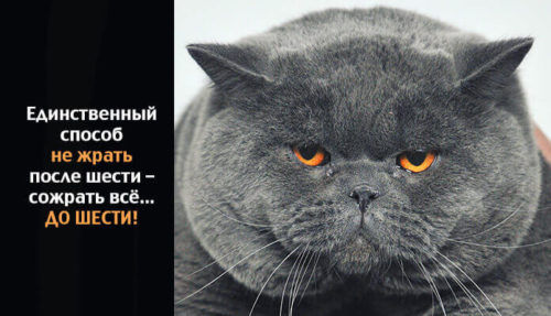 открытка